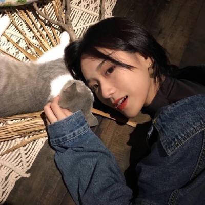 东京（明治维新后故事主要发生地） - 影视解说合集在线观看 - 电脑观影